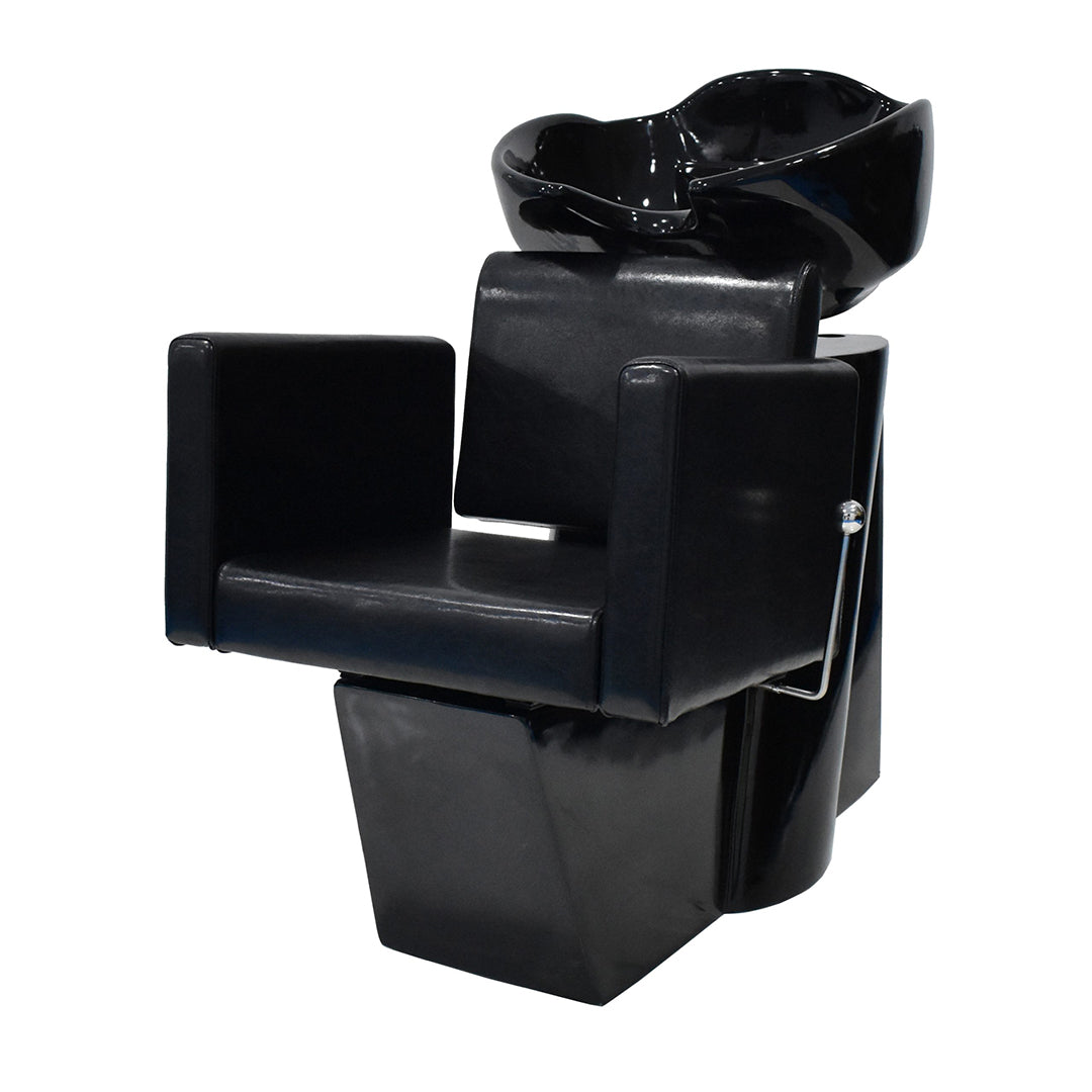 Cosmo 2 Shampoo Unit