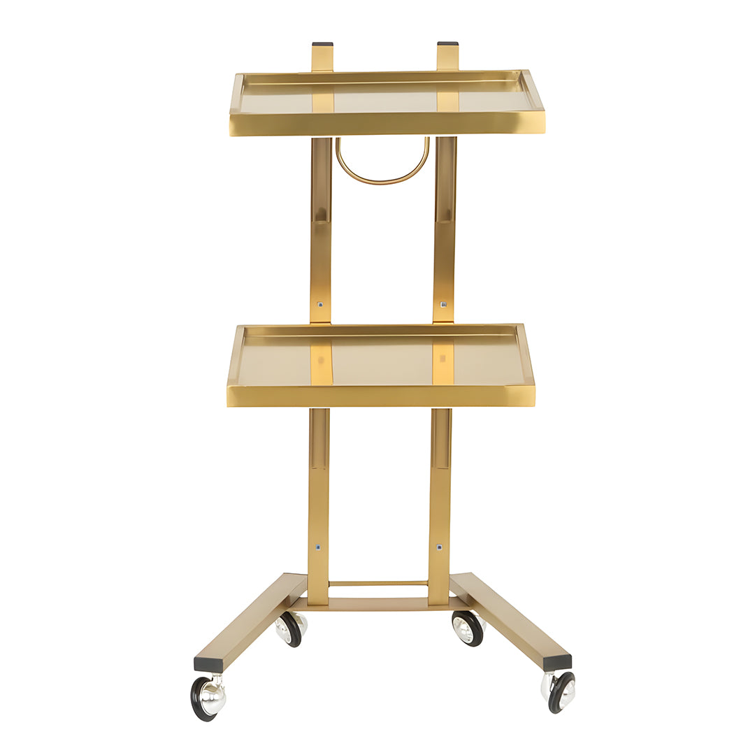 Gold Instrument Tray