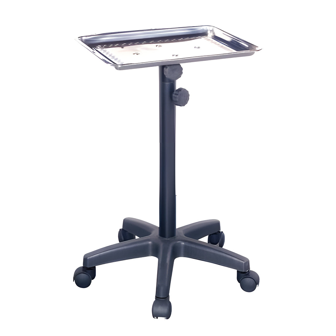 Silver Instrument Tray