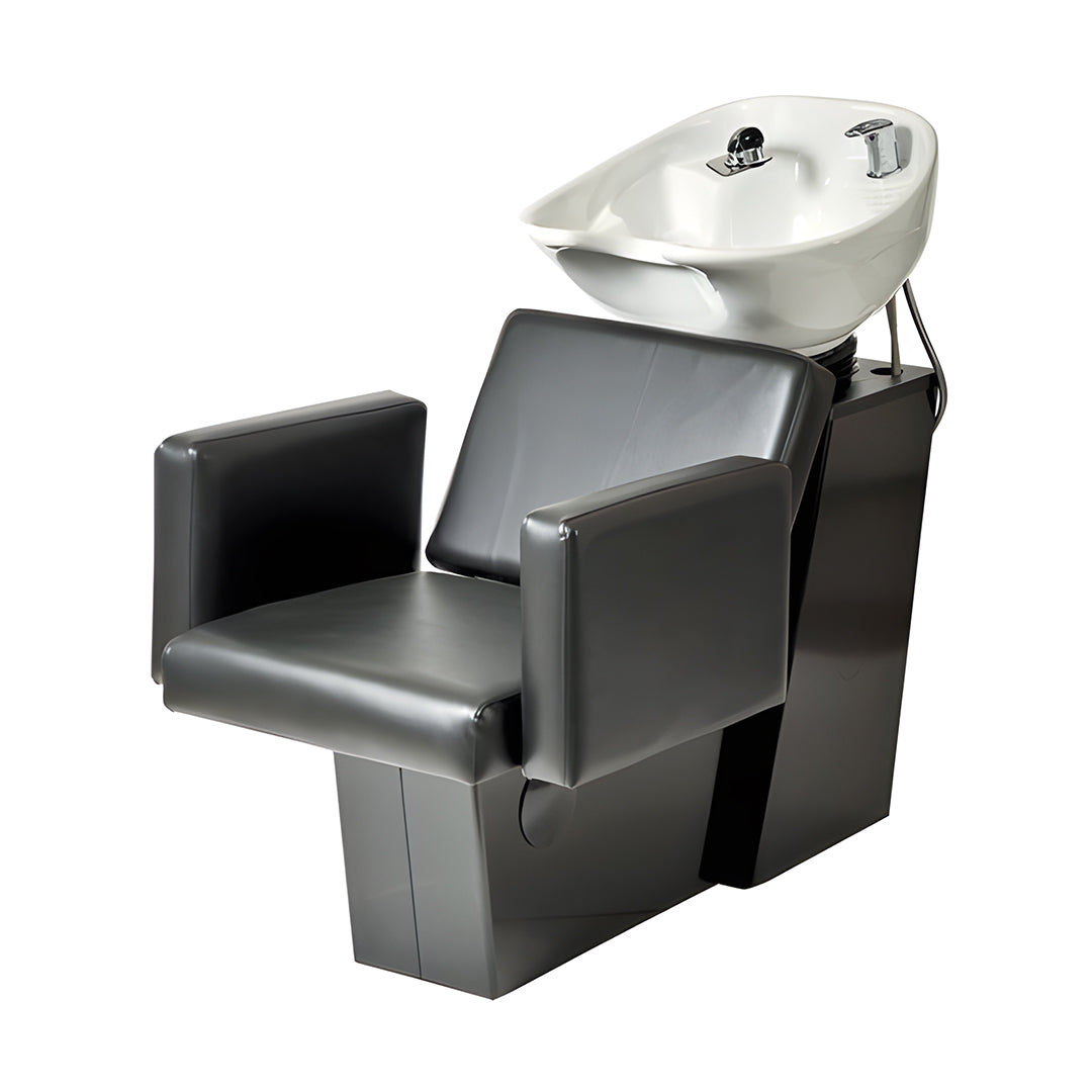 5234 Cosmo Backwash / Sidewash Unit
