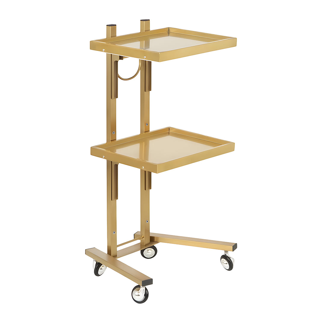 Gold Instrument Tray
