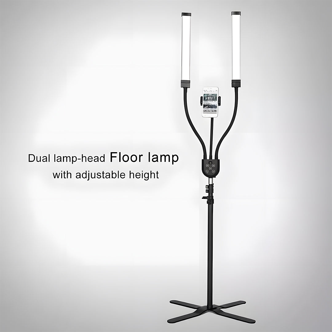 LED Dual lamp light